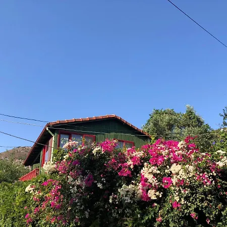 Cozy House With Balcony And Backyard Surrounded By Nature In Bodrum דירה